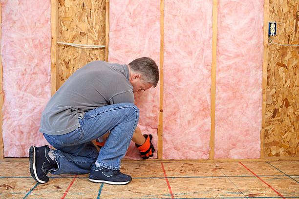 Best Insulation for New Construction  in Veneta, OR